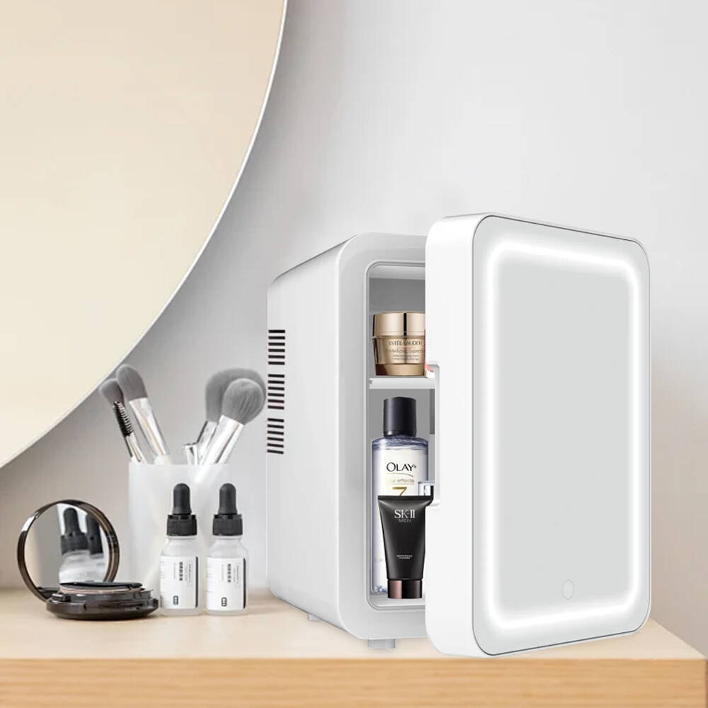 4L Mini Beauty Fridge with LED - Beauty Makeup Fridge review and price