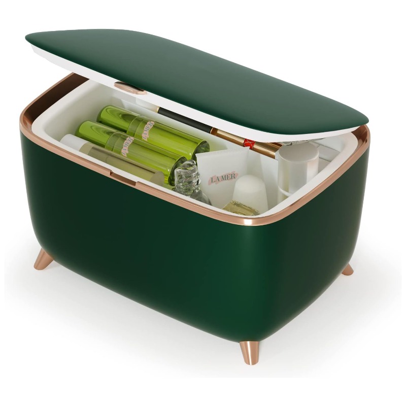 Mini Beauty Refrigerator for M - Beauty Makeup Fridge review and price