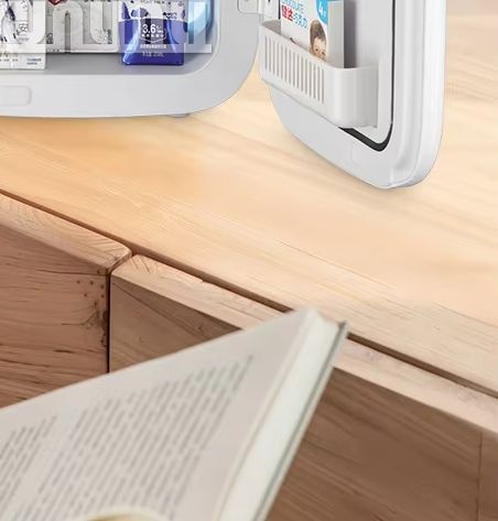20L Portable Refrigerator Mult - Beauty Makeup Fridge review and price