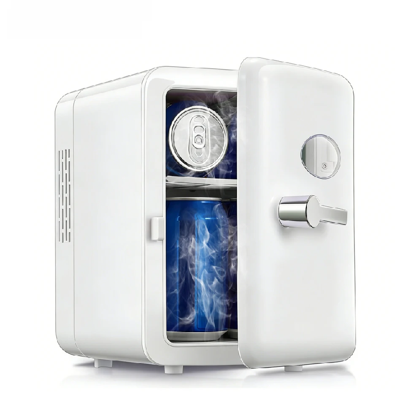 Portable 4L Mini Beauty Fridge - Beauty Makeup Fridge review and price
