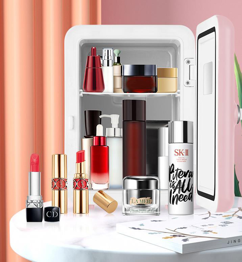 Dual-Use 4L Home Car Use Refri - Beauty Makeup Fridge review and price