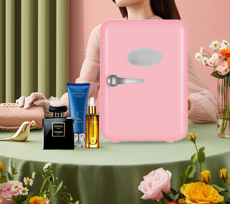 Dual-Use 4L Home Car Use Refri - Beauty Makeup Fridge review and price