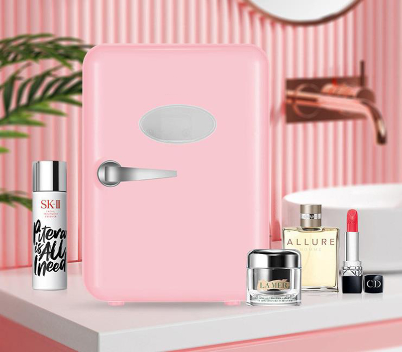 Dual-Use 4L Home Car Use Refri - Beauty Makeup Fridge review and price